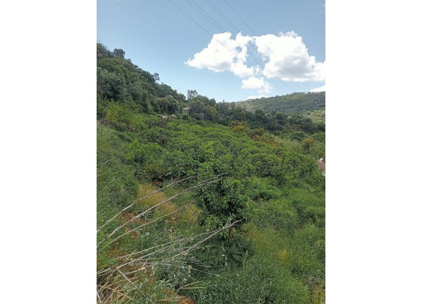 Resale - Plot - Land with Ruin - Estepona - Estepona Centro