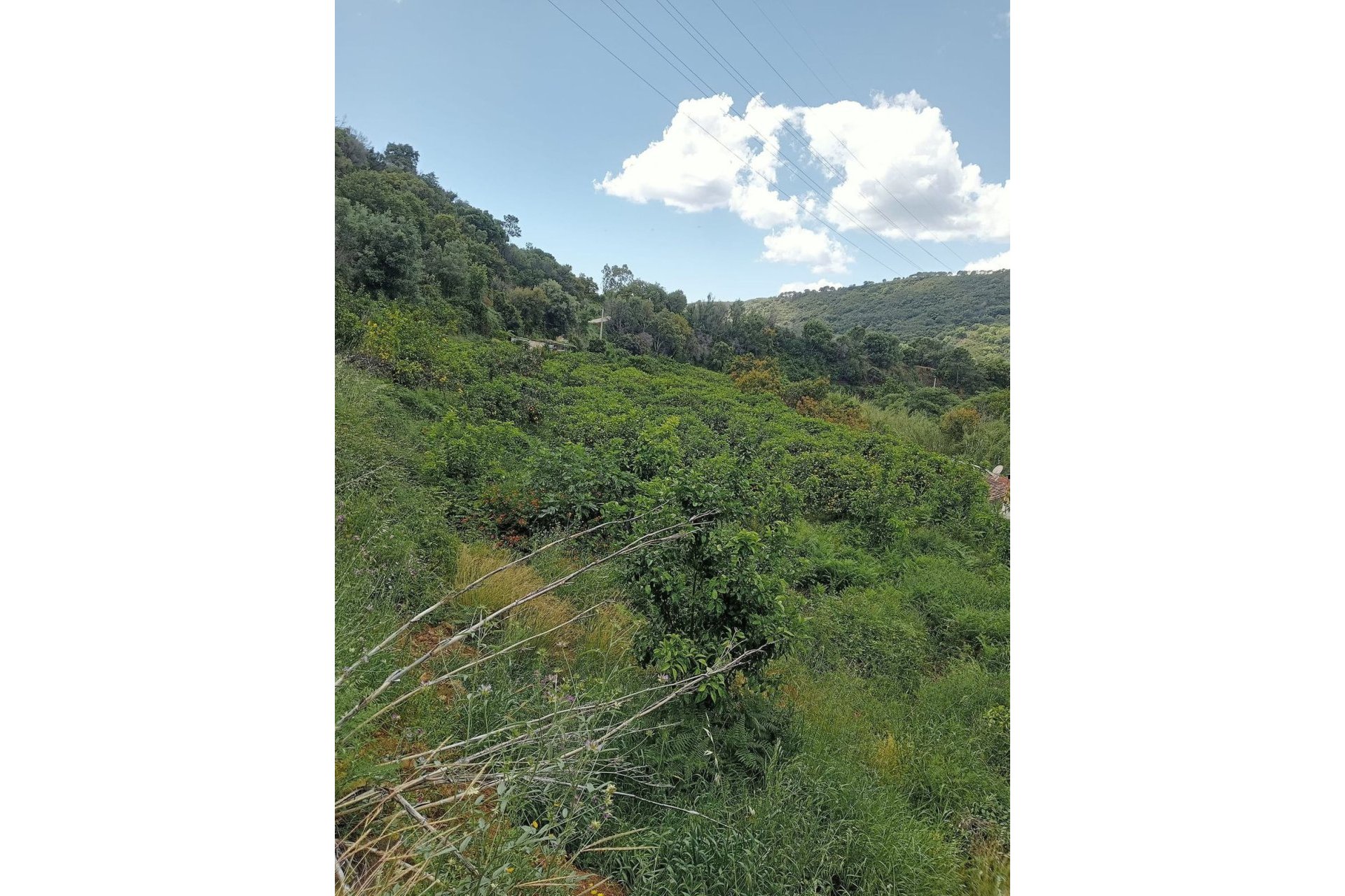 Resale - Plot - Land with Ruin - Estepona - Estepona Centro