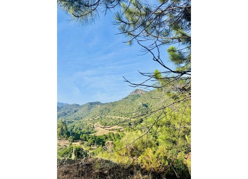 Resale - Plot - Residential Plot - Benahavís - Benahavís Centro