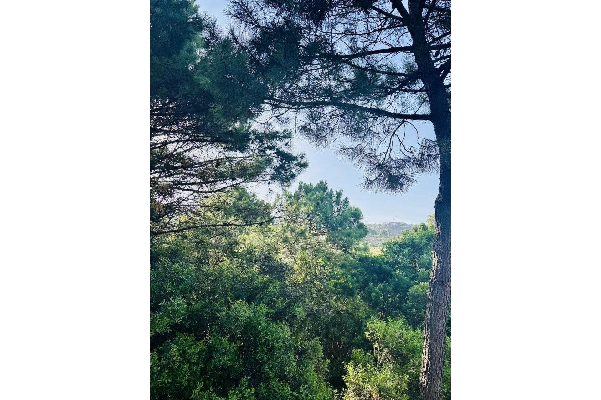 Resale - Plot - Residential Plot - Benahavís - Benahavís Centro