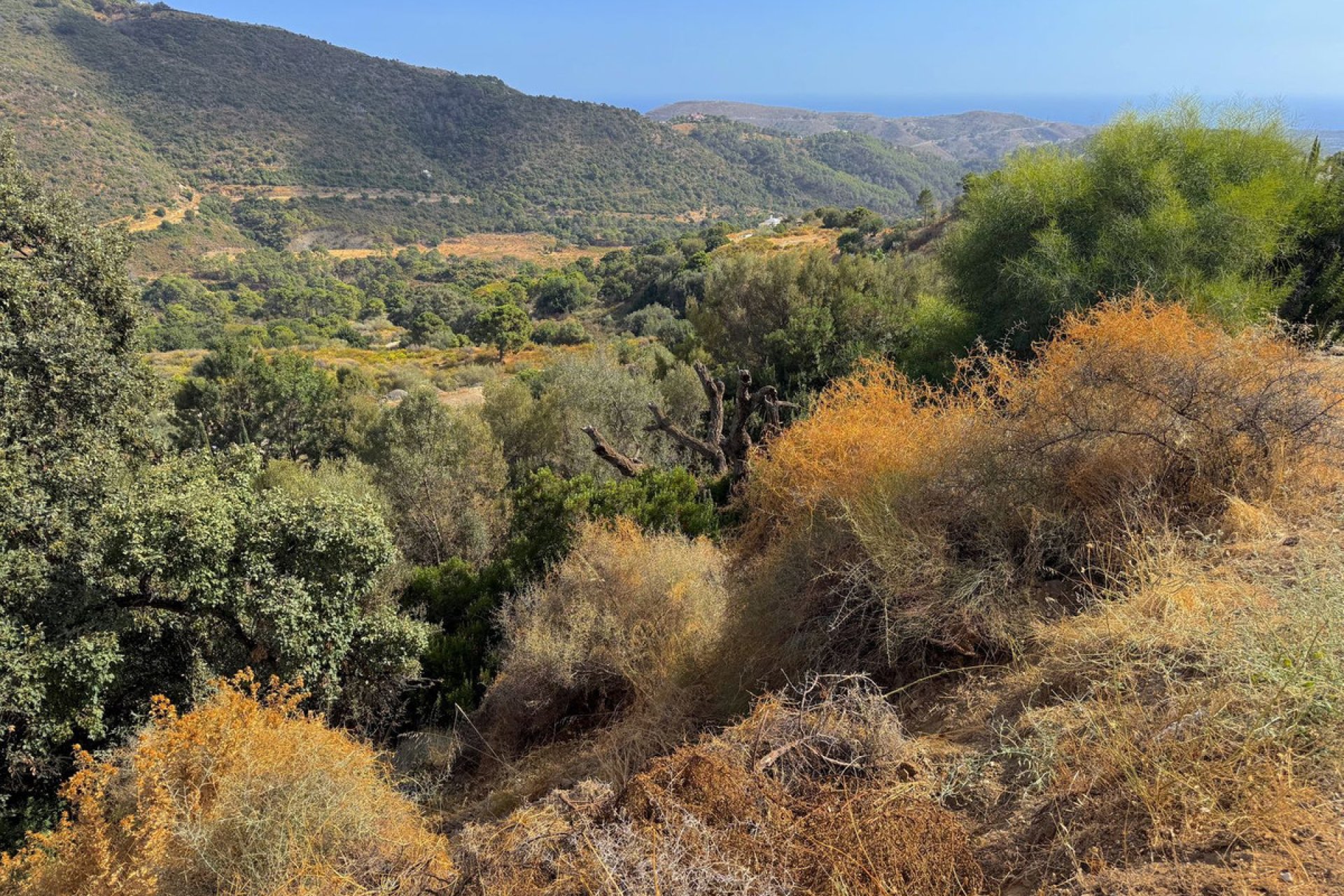 Resale - Plot - Residential Plot - Benahavís - Benahavís Centro