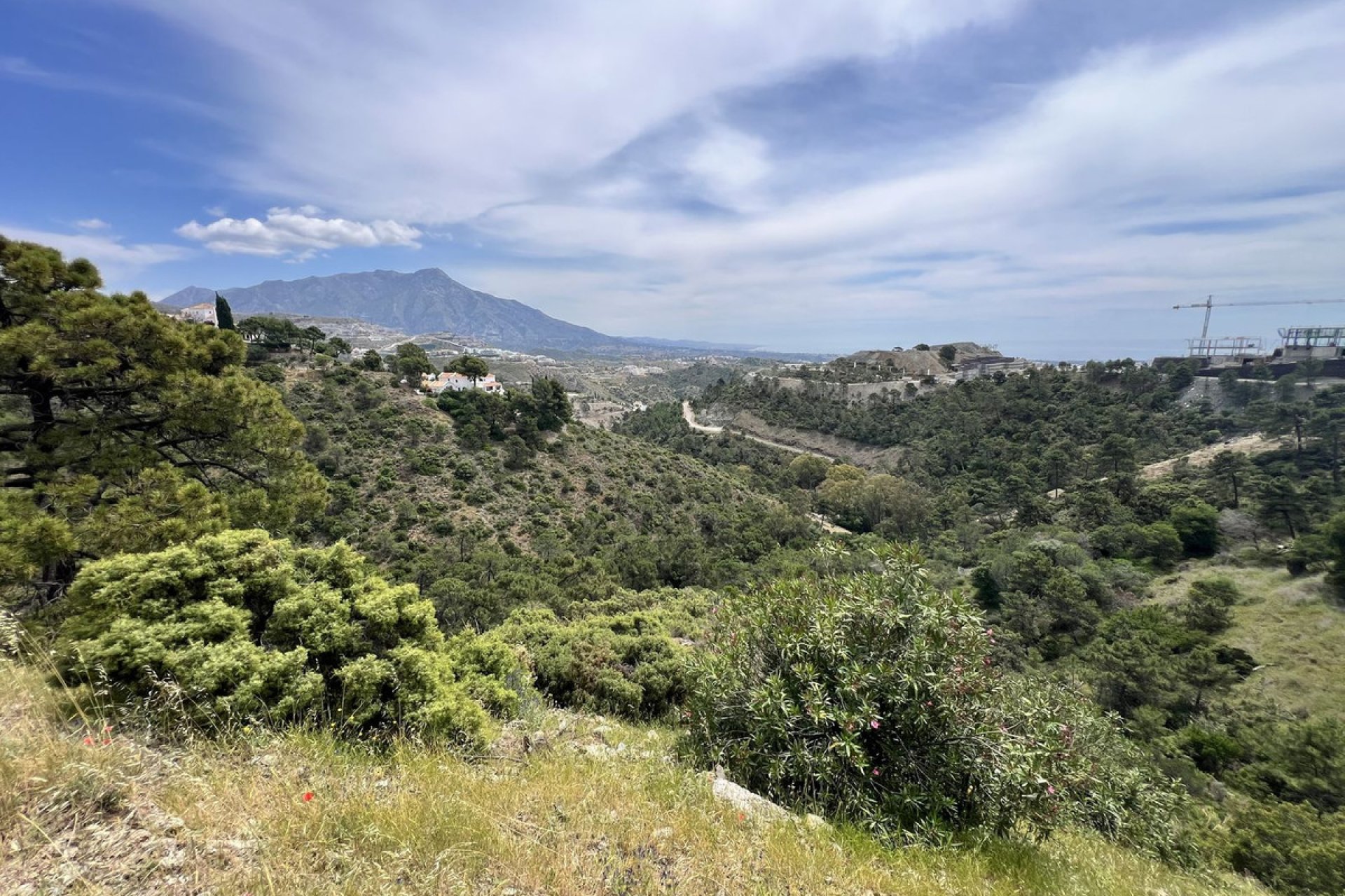 Resale - Plot - Residential Plot - Benahavís - El Madroñal