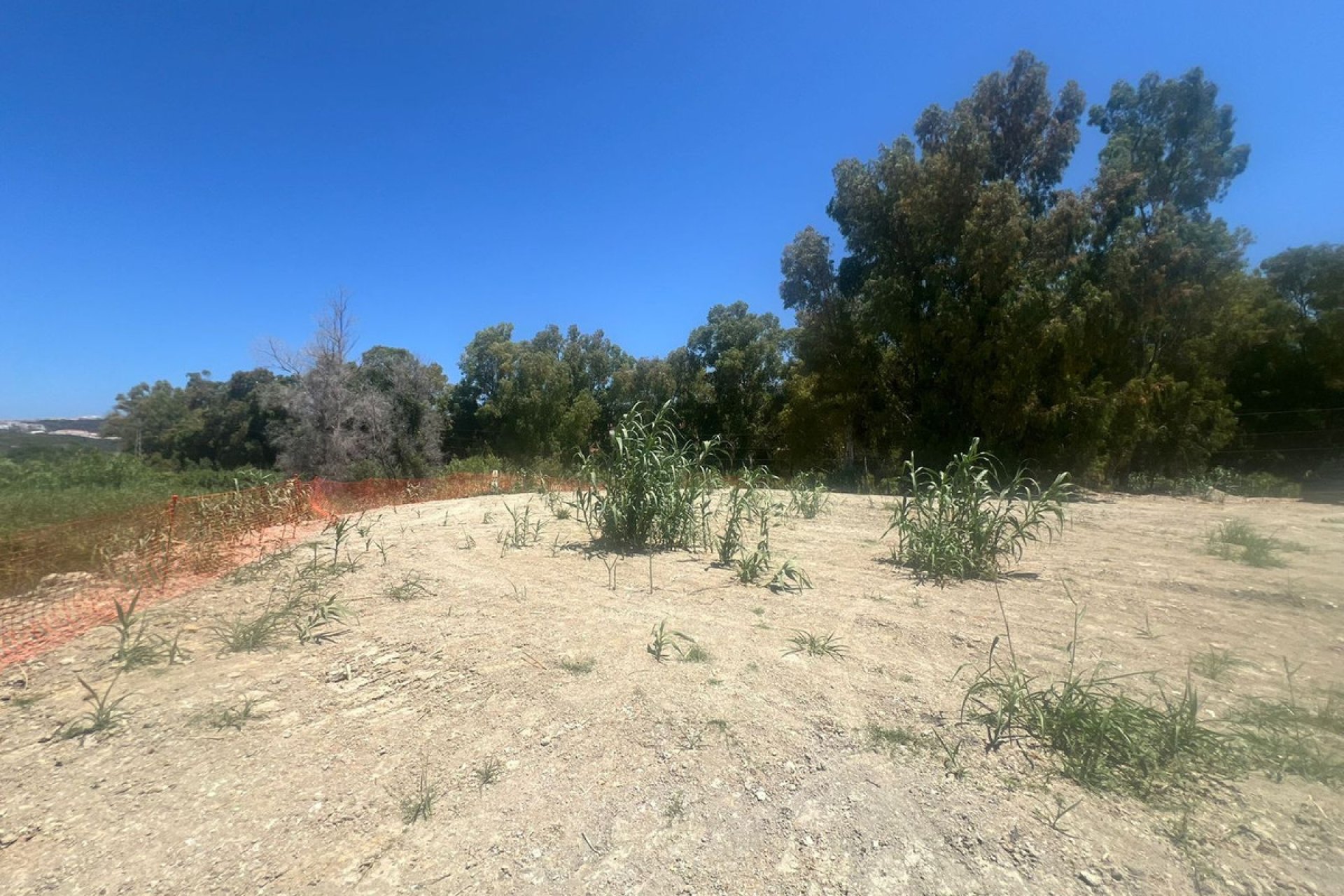 Resale - Plot - Residential Plot - Casares - Casares Playa