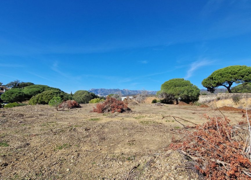 Resale - Plot - Residential Plot - Elviria