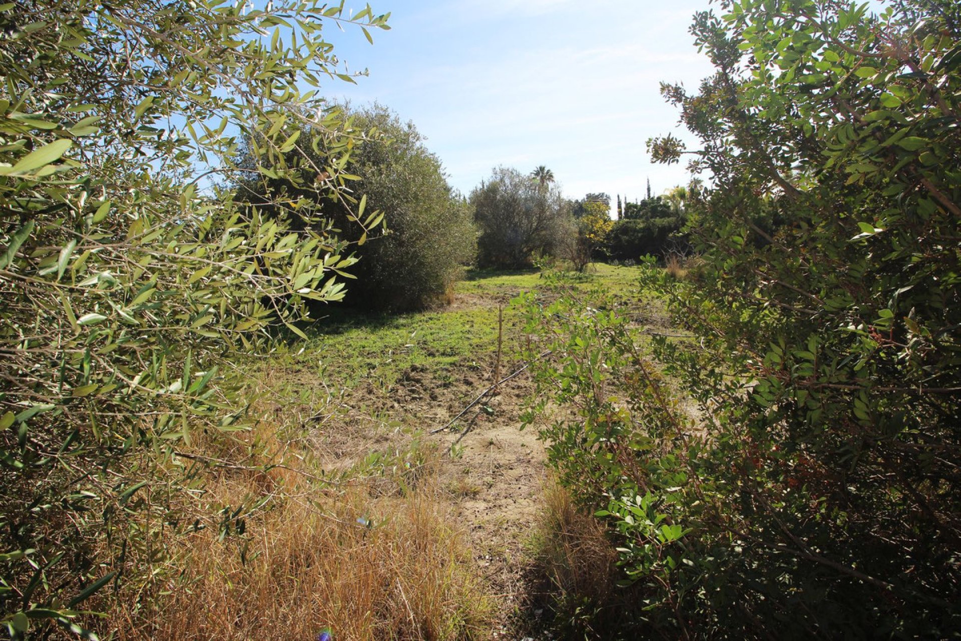 Resale - Plot - Residential Plot - Estepona - Bel Air