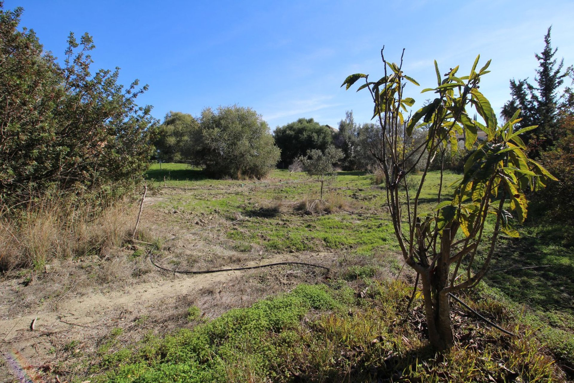 Resale - Plot - Residential Plot - Estepona - Bel Air