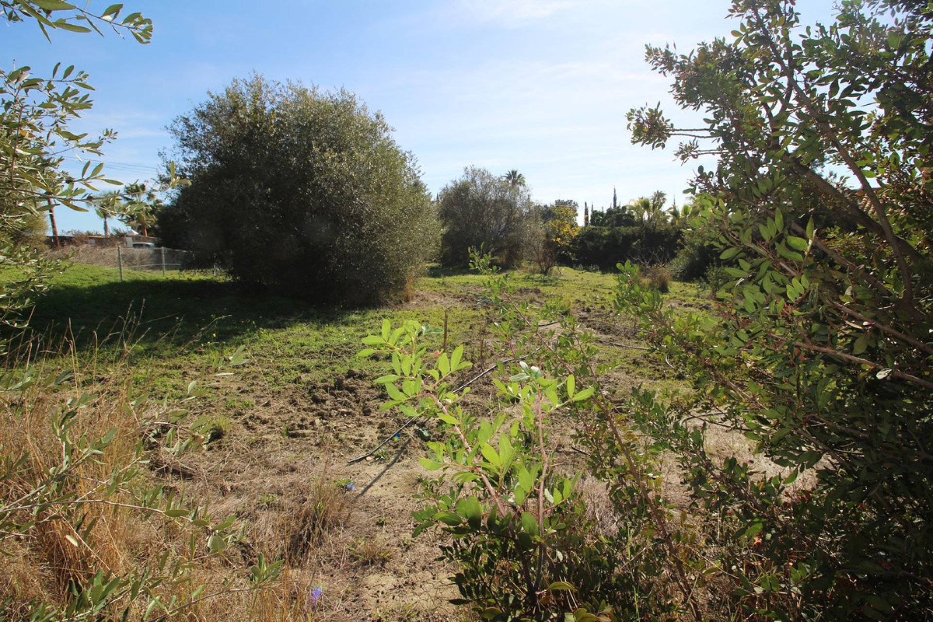 Resale - Plot - Residential Plot - Estepona - Bel Air