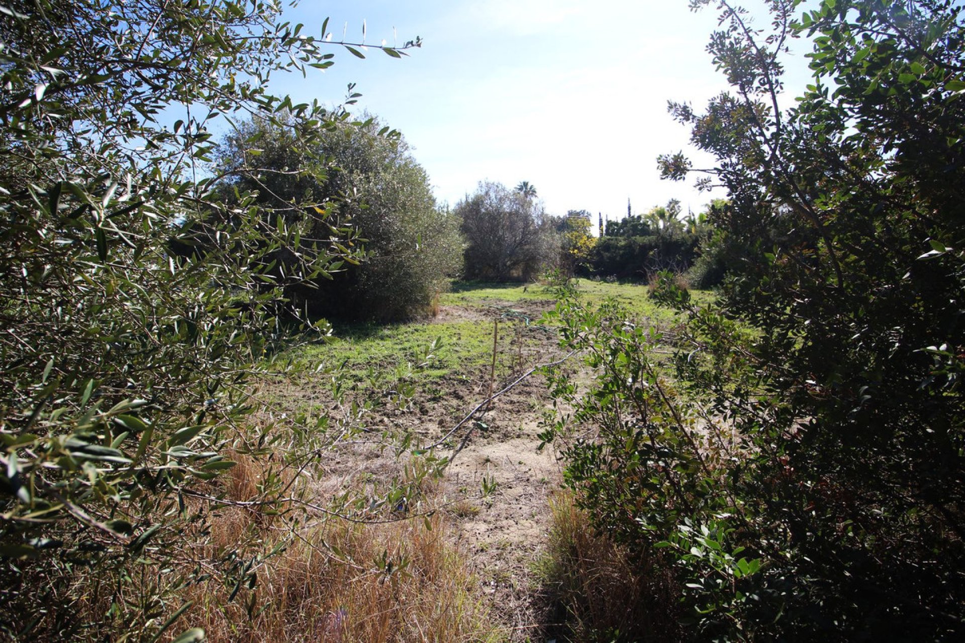 Resale - Plot - Residential Plot - Estepona - Bel Air