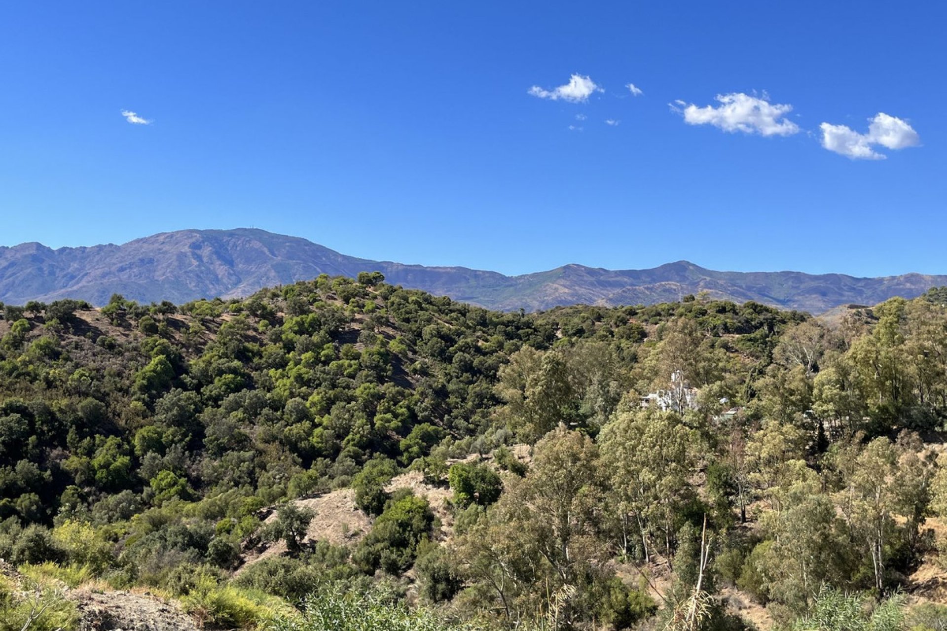 Resale - Plot - Residential Plot - Estepona - Selwo