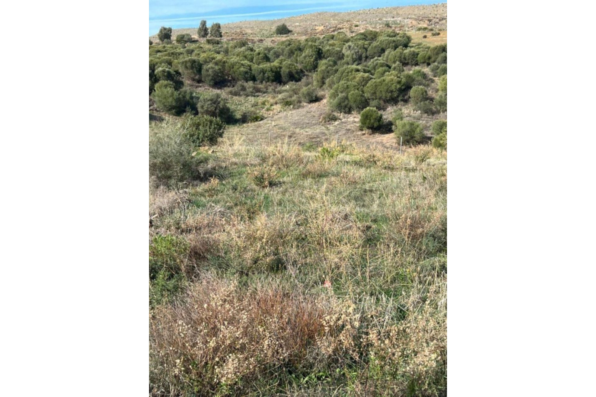 Resale - Plot - Residential Plot - Estepona - Valle Romano