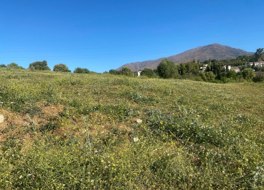 Resale - Plot - Residential Plot - Estepona - Valle Romano