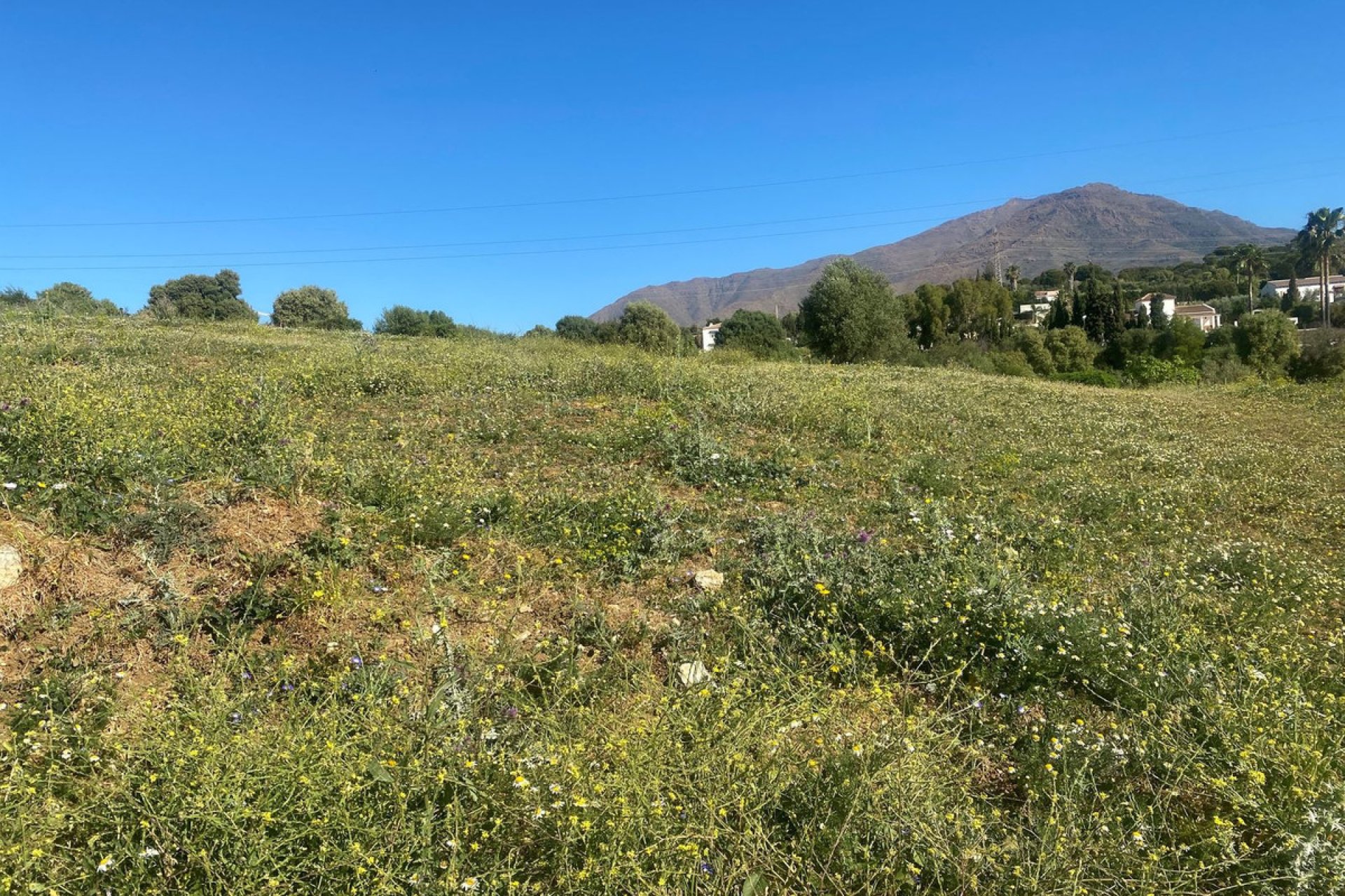 Resale - Plot - Residential Plot - Estepona - Valle Romano