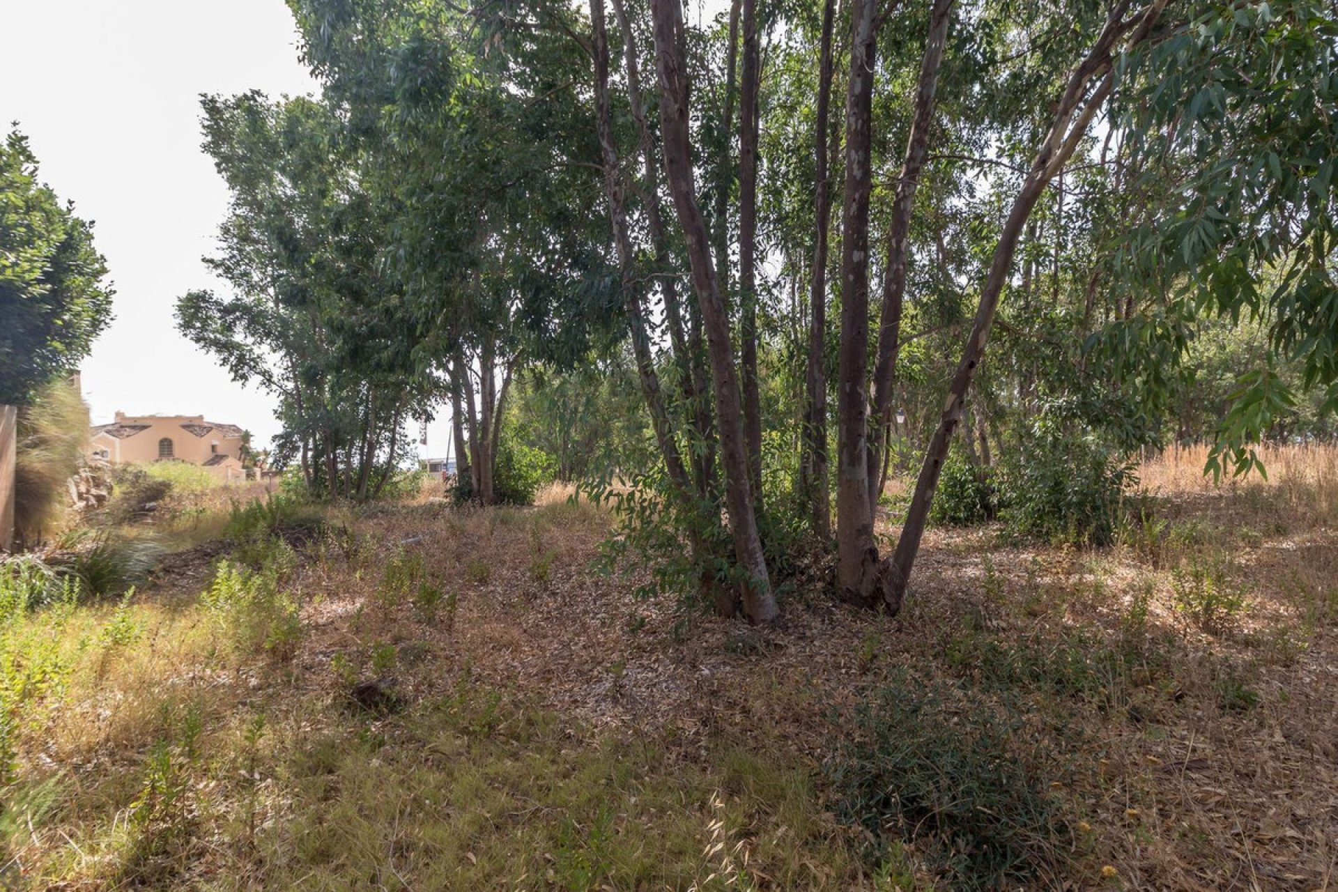 Resale - Plot - Residential Plot - Manilva - Manilva Centro