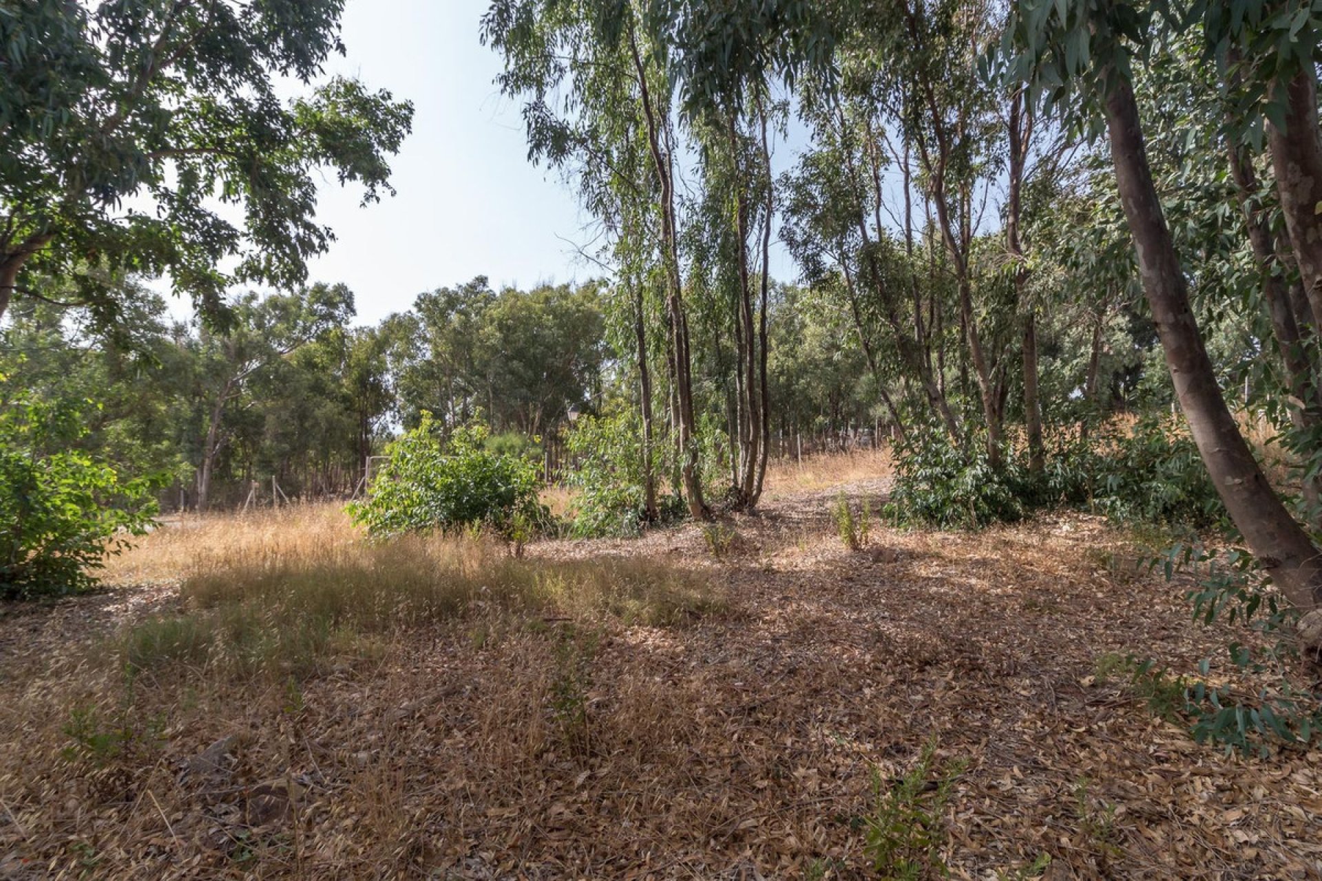 Resale - Plot - Residential Plot - Manilva - Manilva Centro