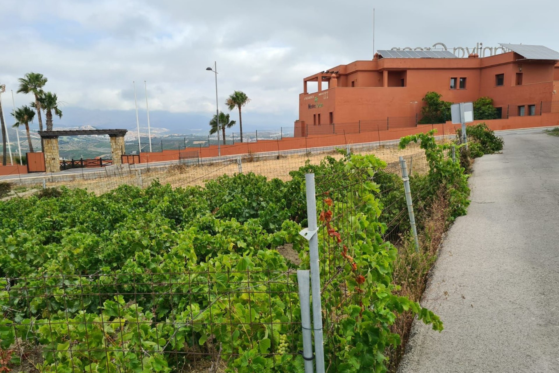 Resale - Plot - Residential Plot - Manilva - Manilva Centro