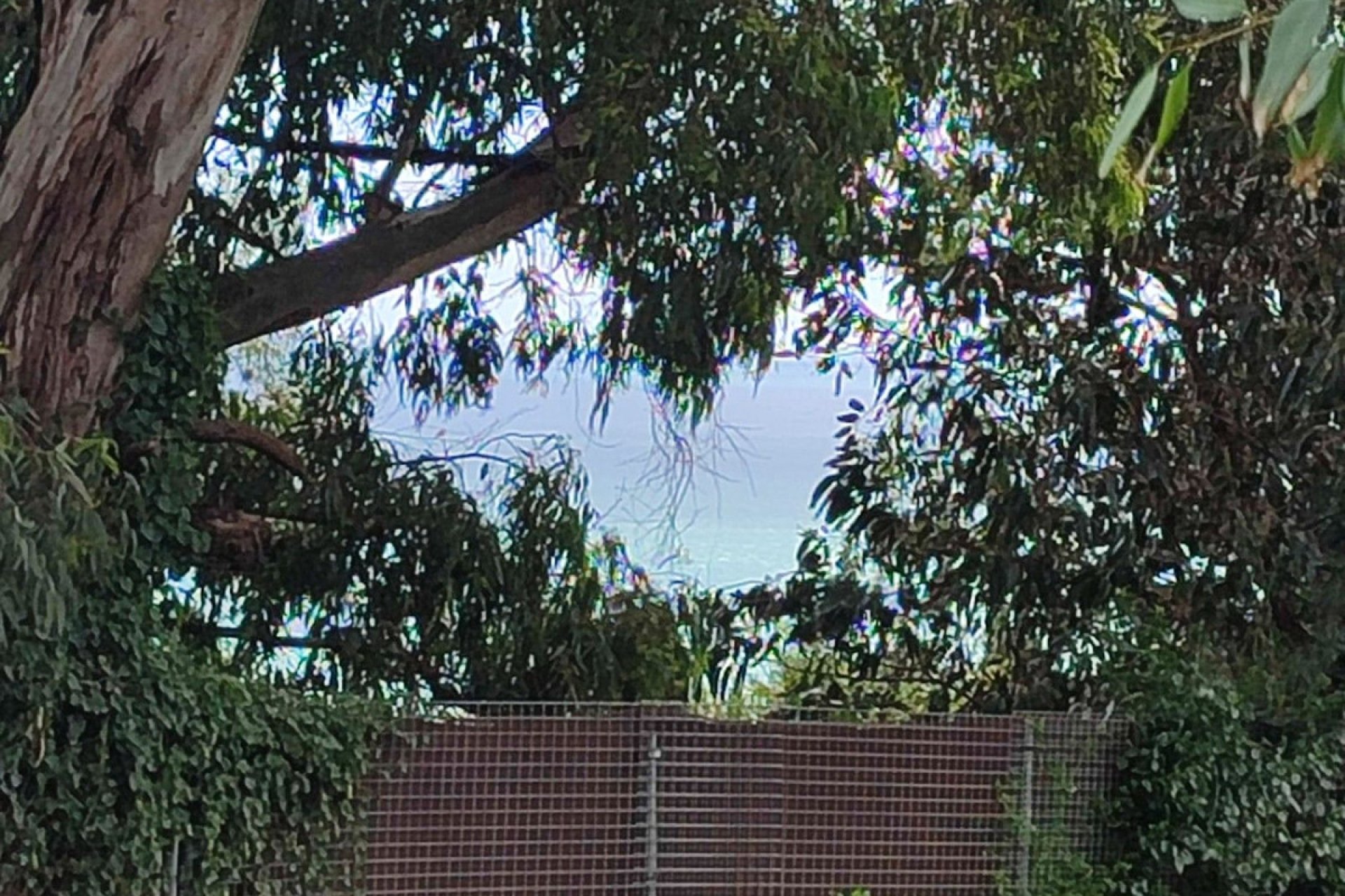 Resale - Plot - Residential Plot - Manilva - Manilva Centro