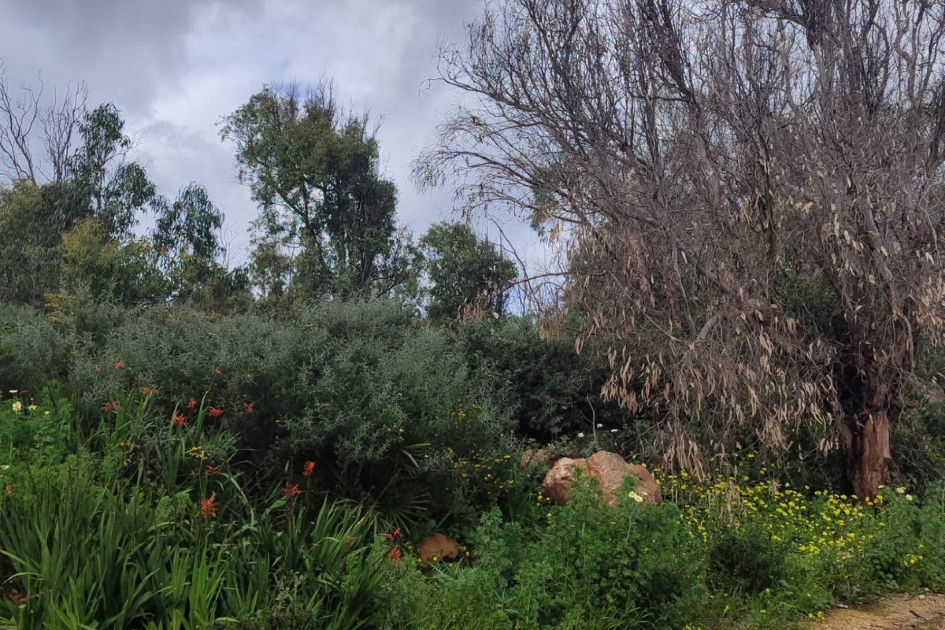 Resale - Plot - Residential Plot - Manilva - Manilva Centro