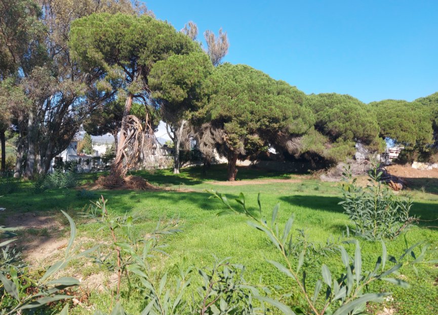 Resale - Plot - Residential Plot - Marbella - Elviria