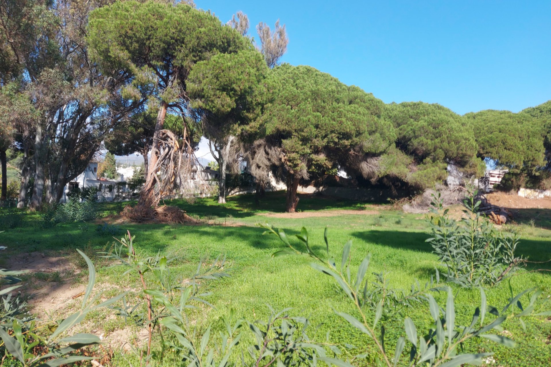 Resale - Plot - Residential Plot - Marbella - Elviria