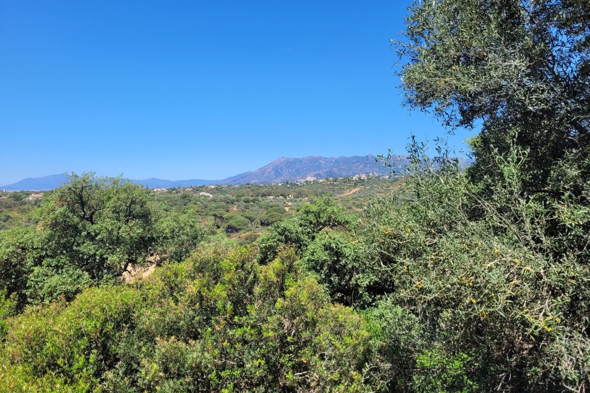 Resale - Plot - Residential Plot - Marbella - Elviria