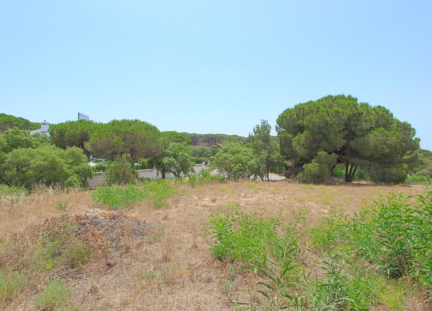 Resale - Plot - Residential Plot - Marbella - Hacienda Las Chapas