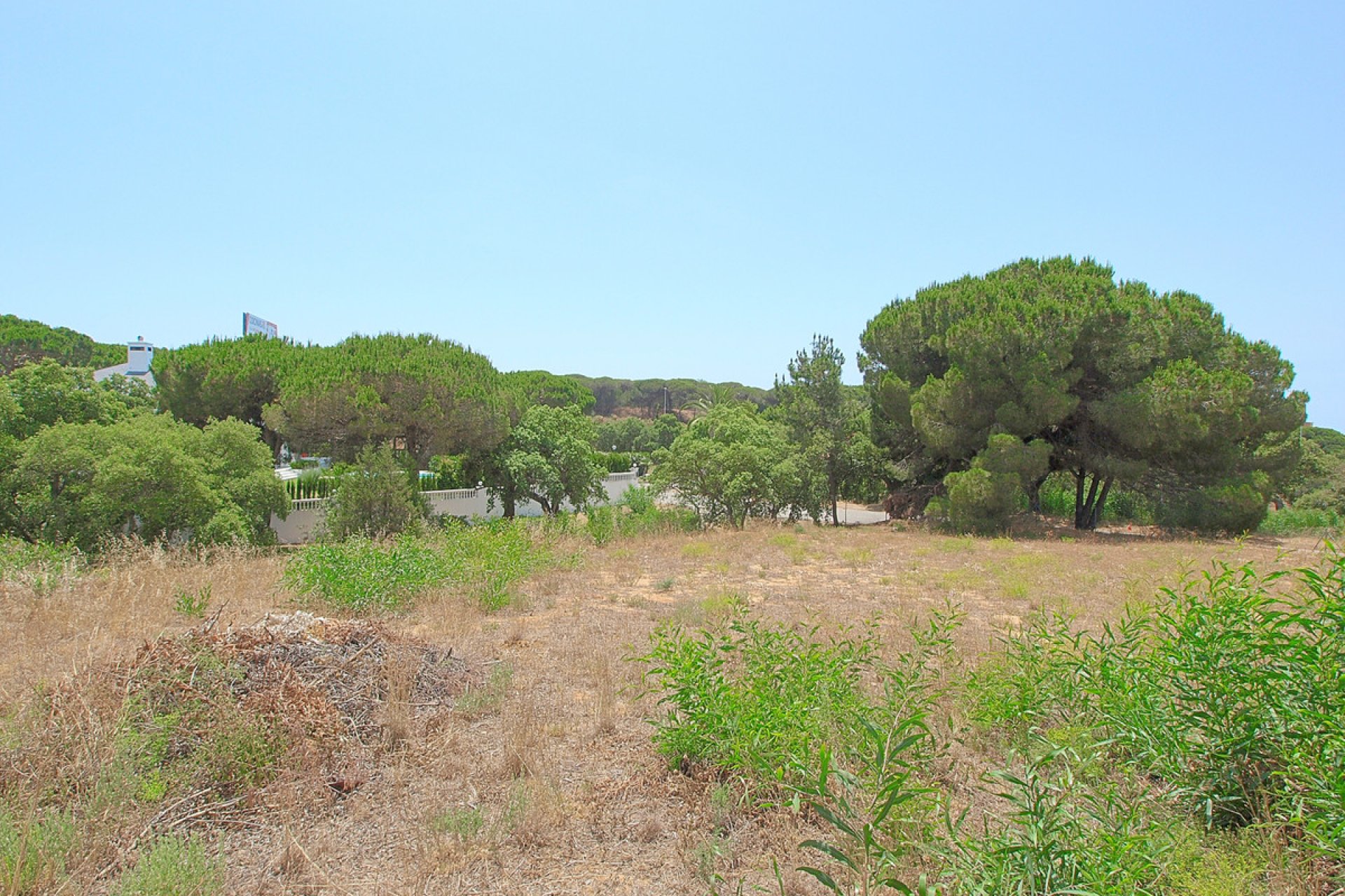 Resale - Plot - Residential Plot - Marbella - Hacienda Las Chapas