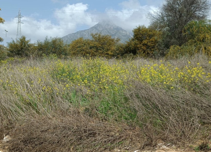 Resale - Plot - Residential Plot - Marbella - The Golden Mile