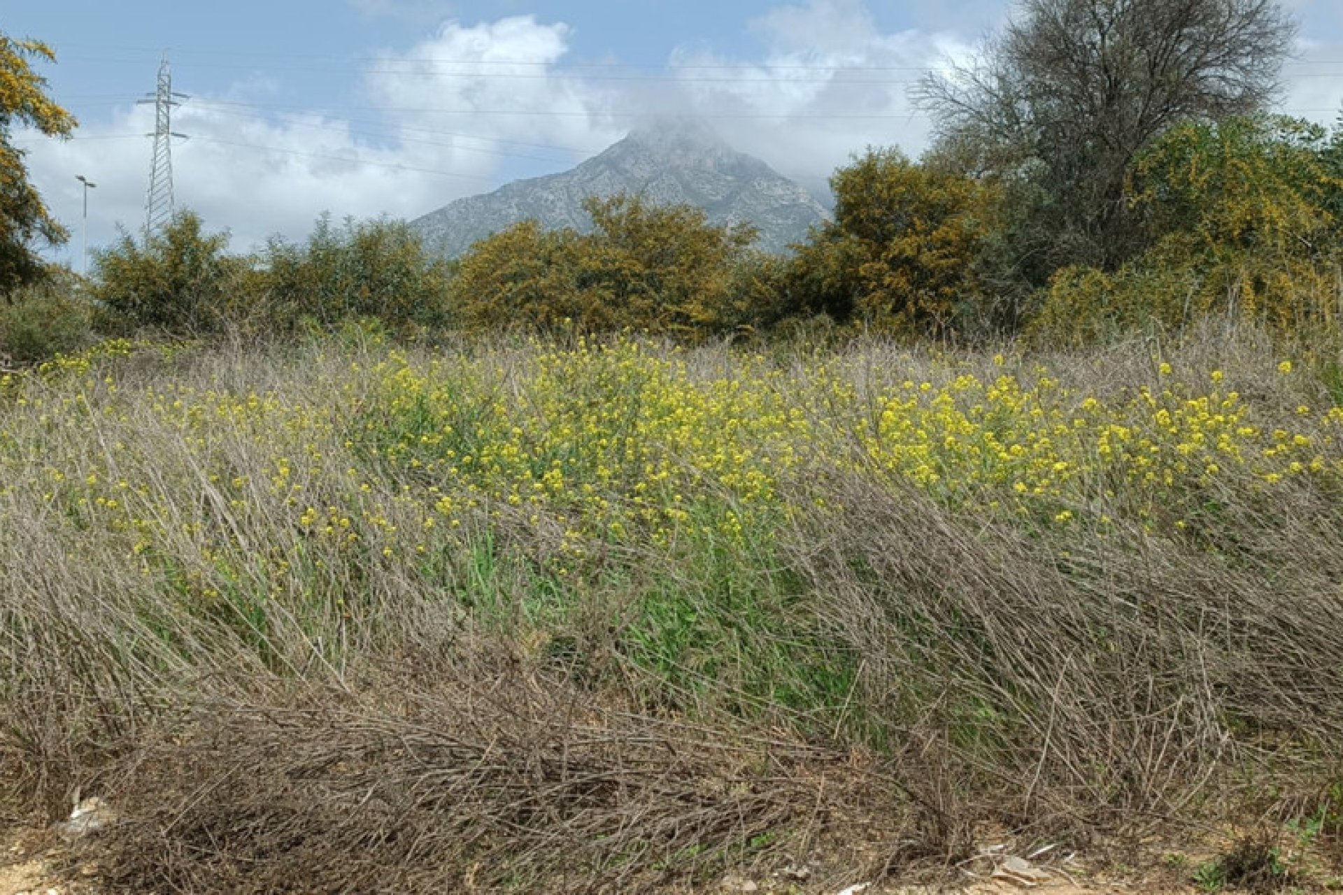 Resale - Plot - Residential Plot - Marbella - The Golden Mile