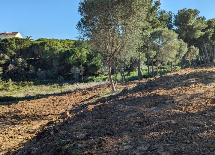 Resale - Plot - Residential Plot - Sotogrande