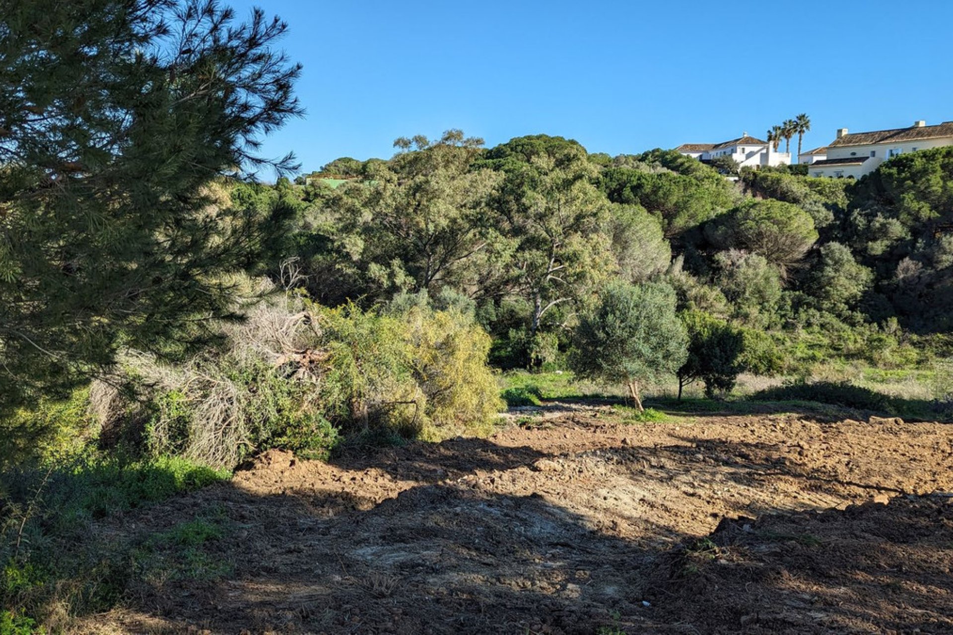 Resale - Plot - Residential Plot - Sotogrande