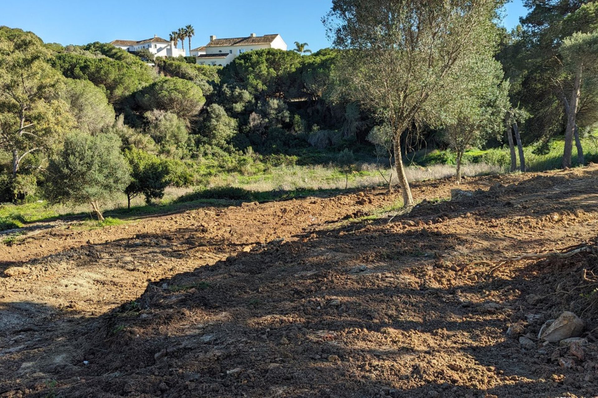 Resale - Plot - Residential Plot - Sotogrande