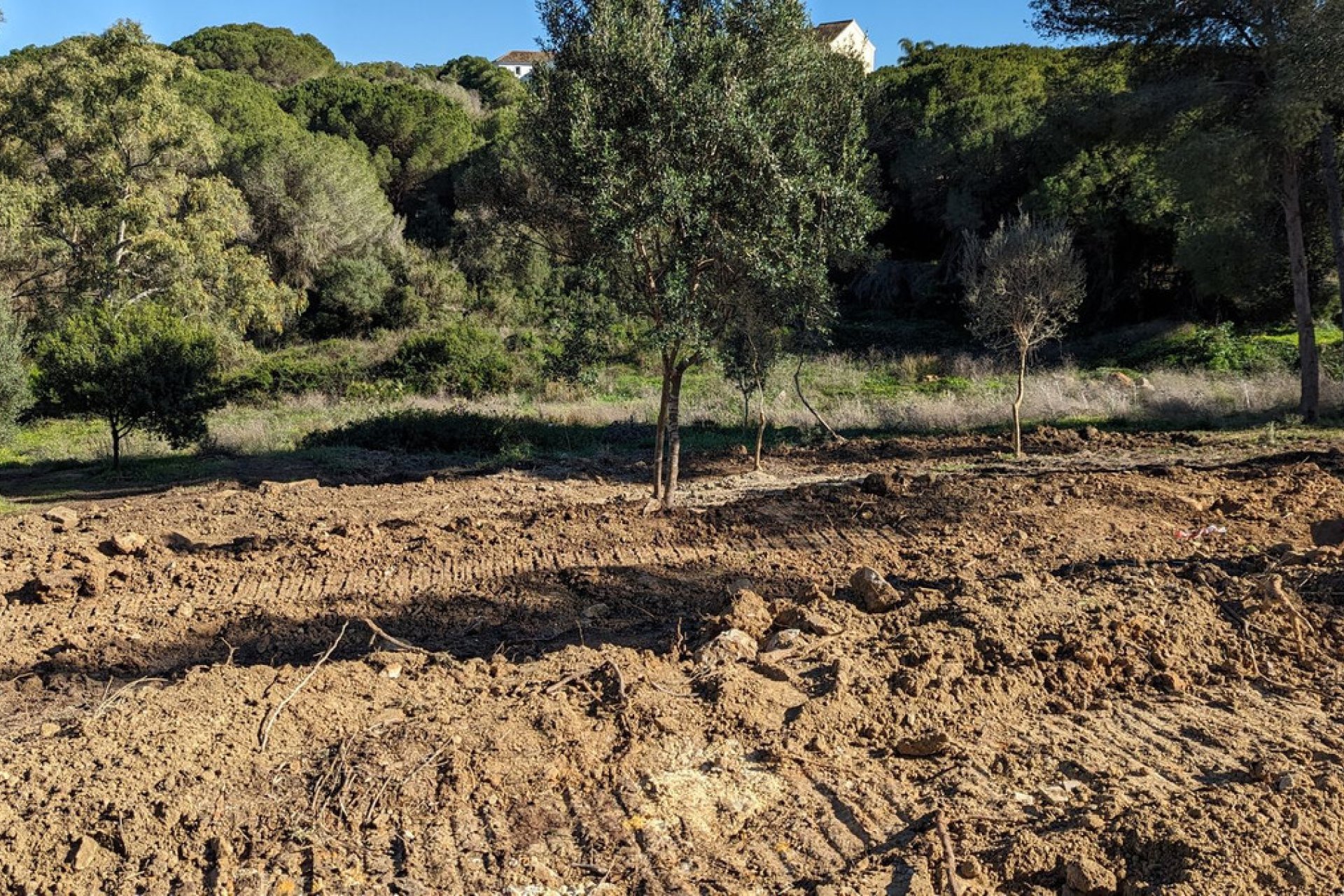 Resale - Plot - Residential Plot - Sotogrande