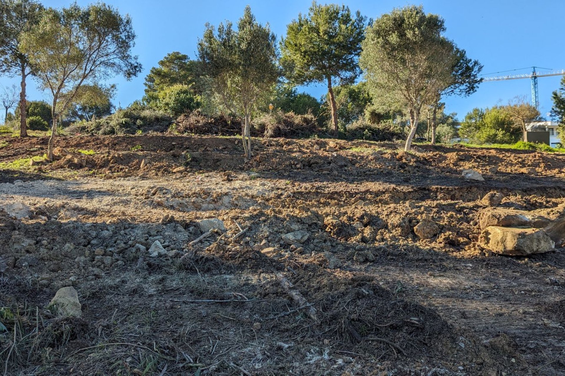 Resale - Plot - Residential Plot - Sotogrande