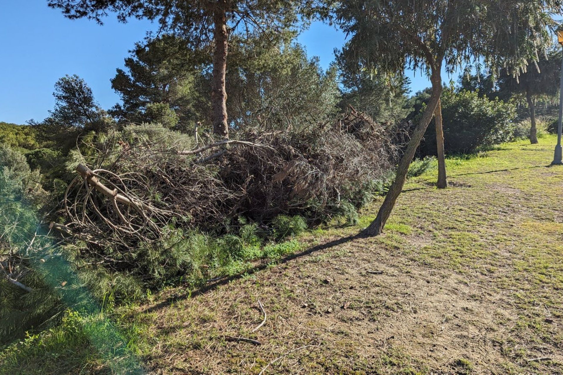 Resale - Plot - Residential Plot - Sotogrande