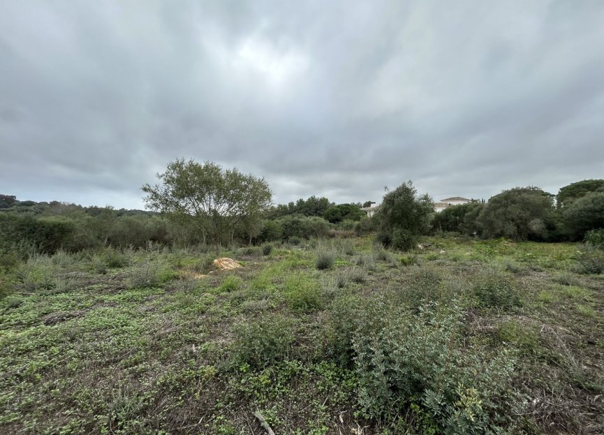 Resale - Plot - Residential Plot - Sotogrande