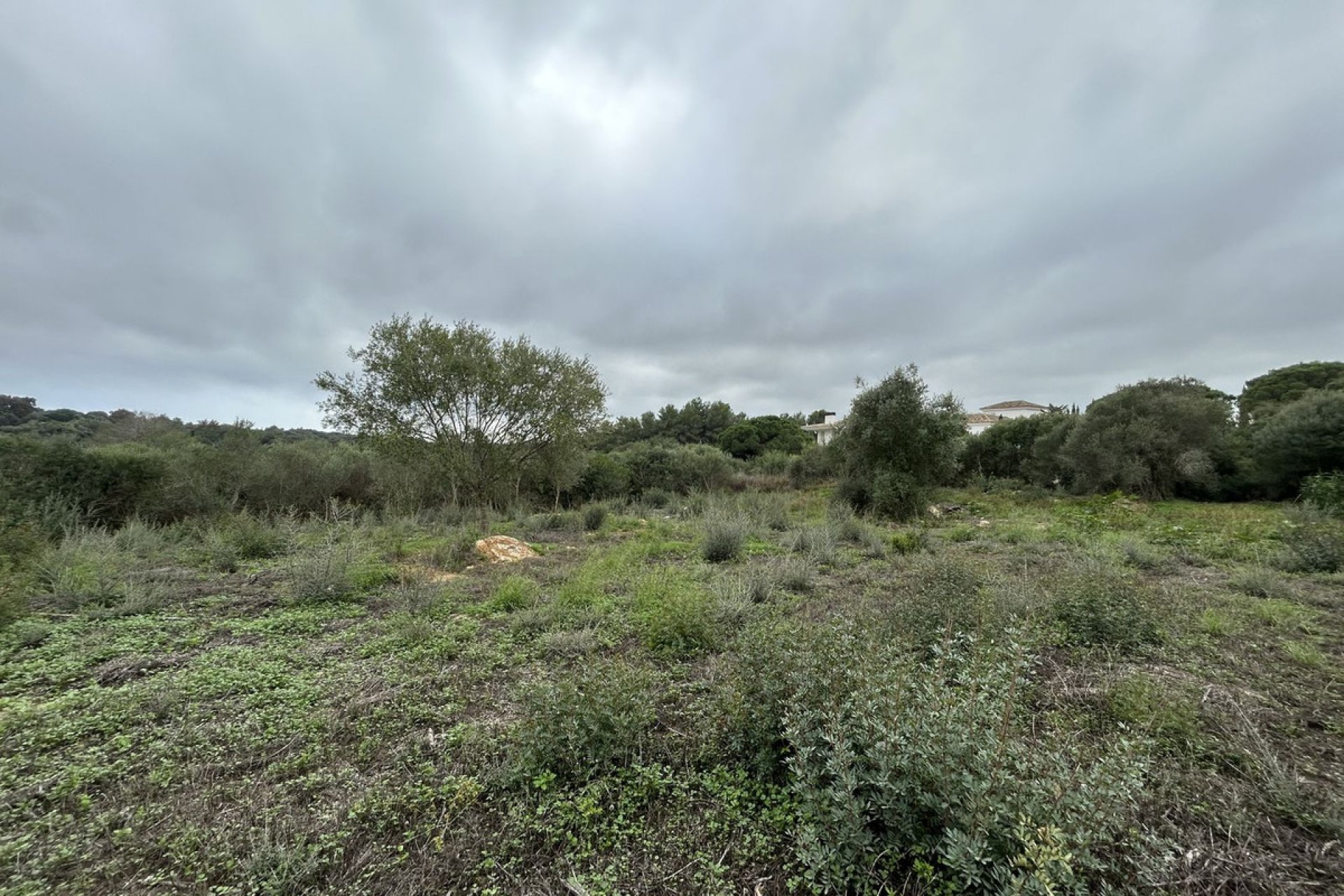 Resale - Plot - Residential Plot - Sotogrande