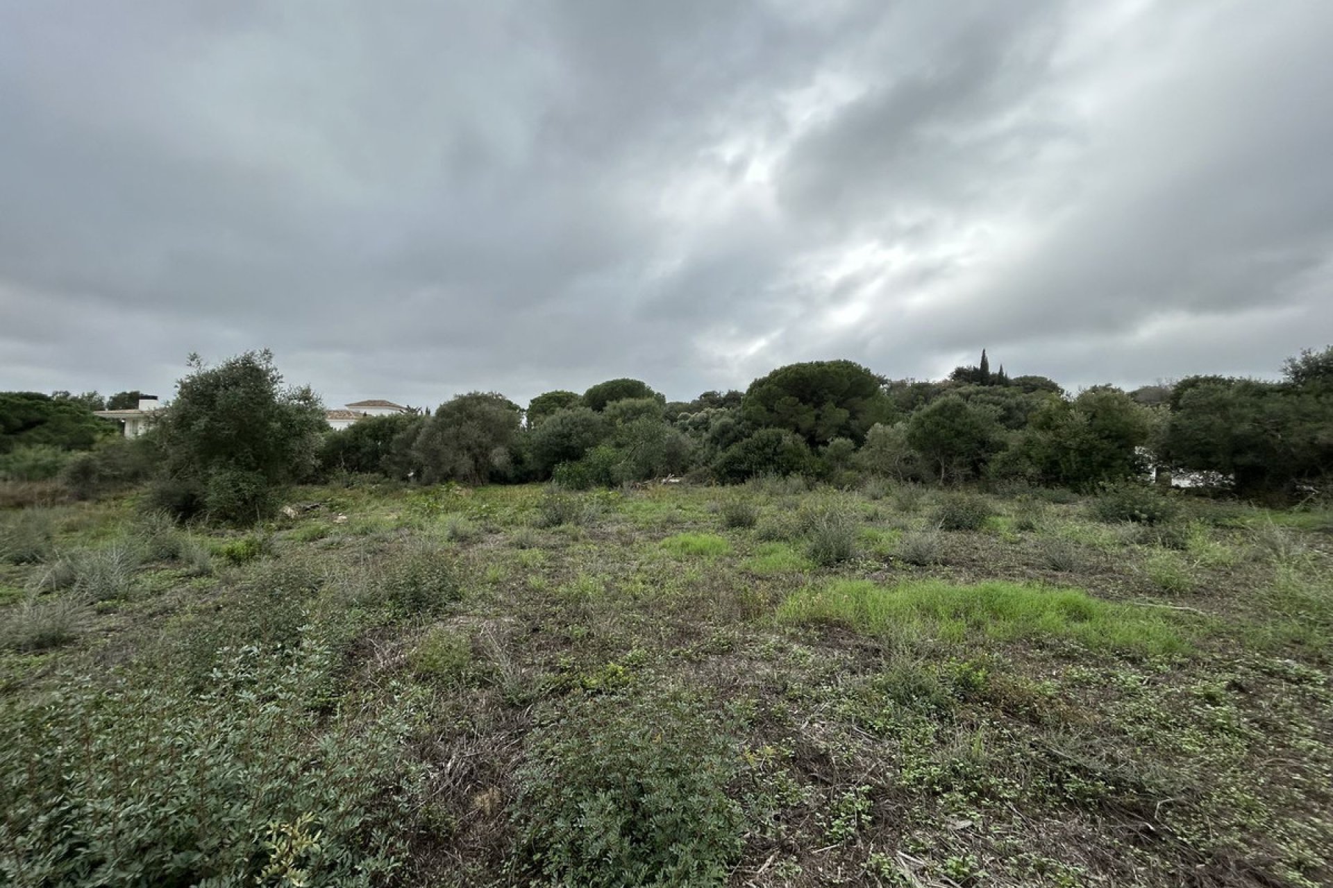 Resale - Plot - Residential Plot - Sotogrande