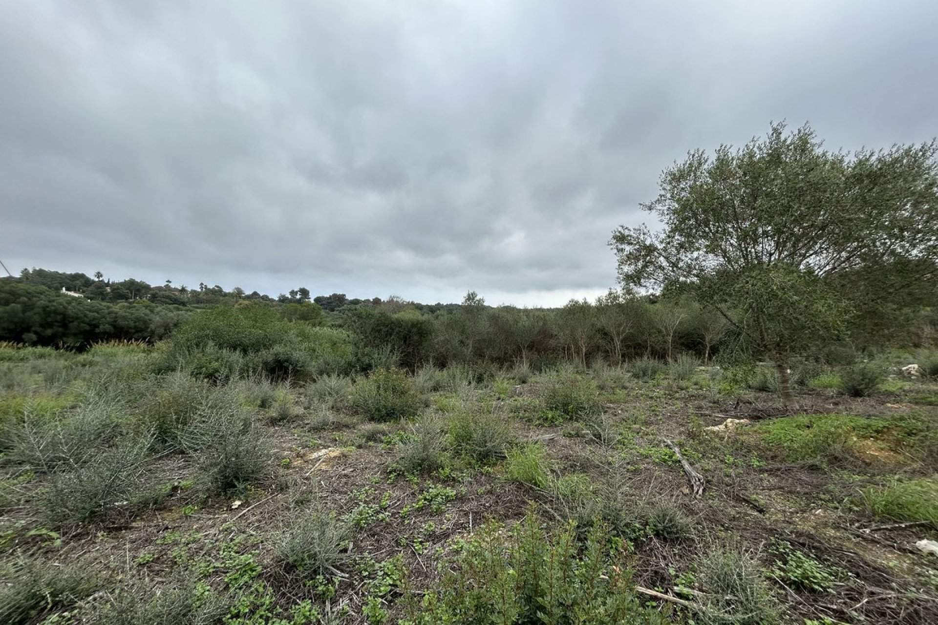 Resale - Plot - Residential Plot - Sotogrande