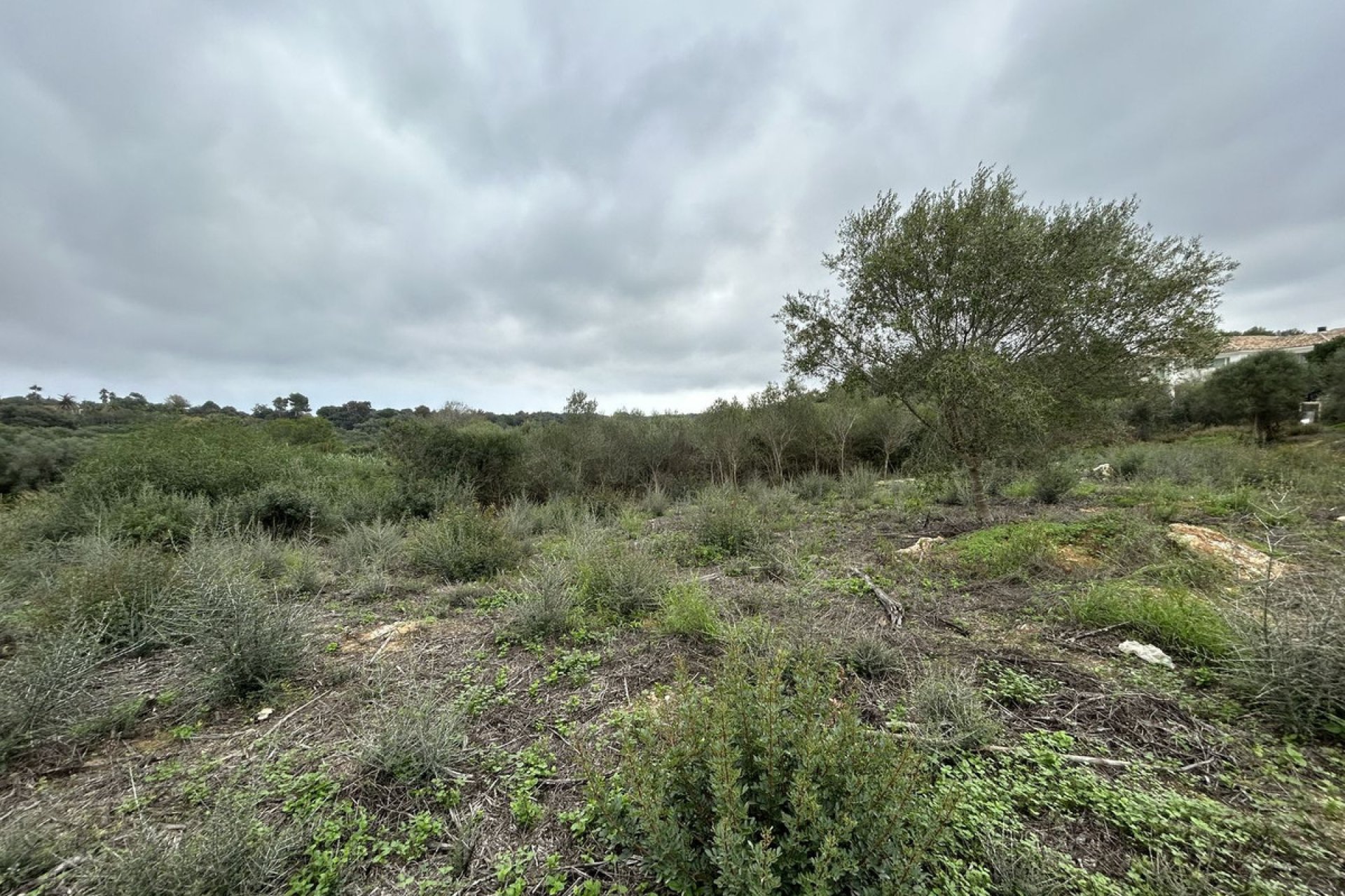 Resale - Plot - Residential Plot - Sotogrande