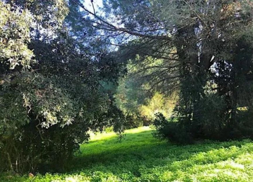 Resale - Plot - Residential Plot - Sotogrande