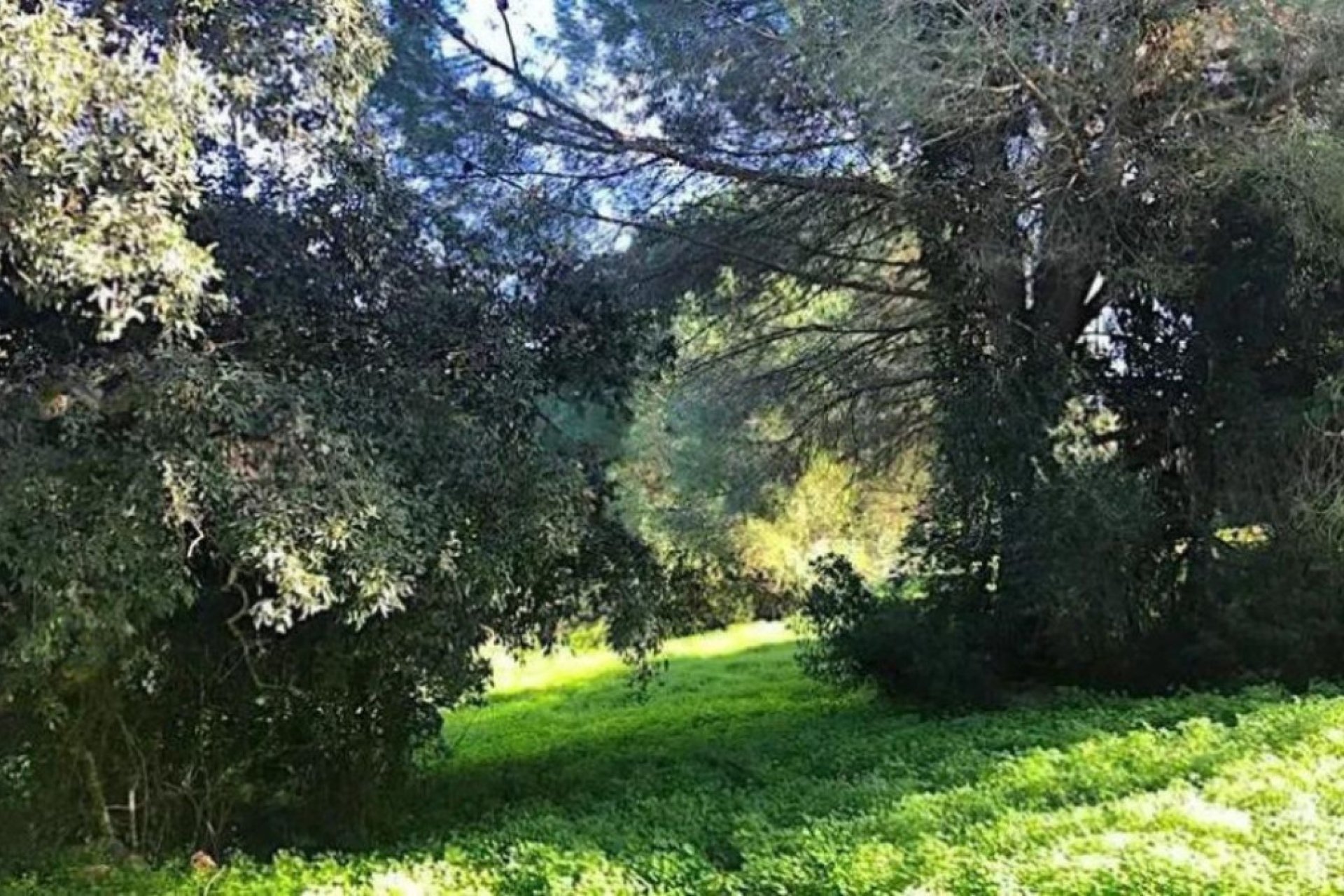 Resale - Plot - Residential Plot - Sotogrande