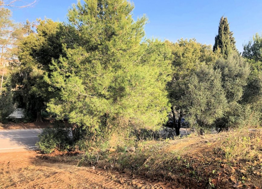 Resale - Plot - Residential Plot - Sotogrande