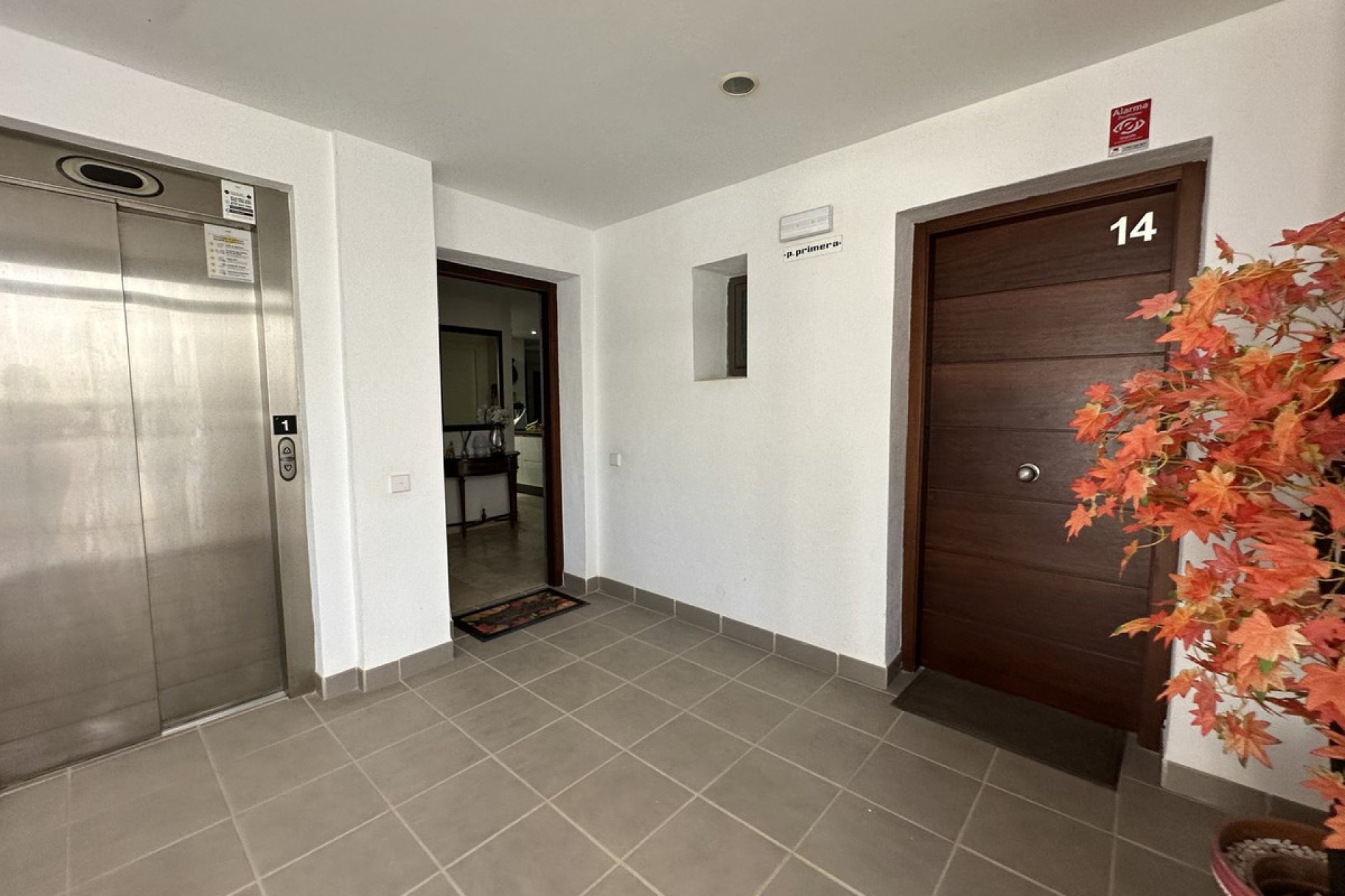 Reventa - Apartment - Middle Floor Apartment - Casares - Casares Centro