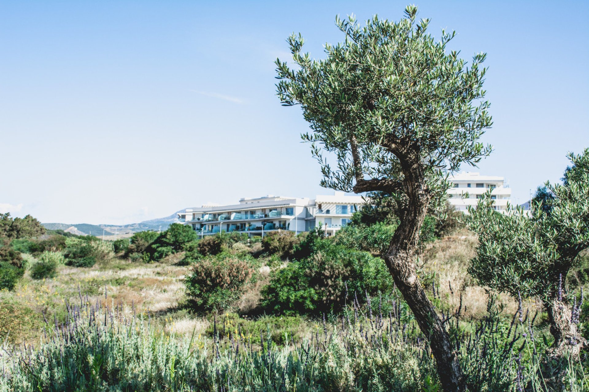 Reventa - Apartment - Middle Floor Apartment - Estepona - Estepona Centro