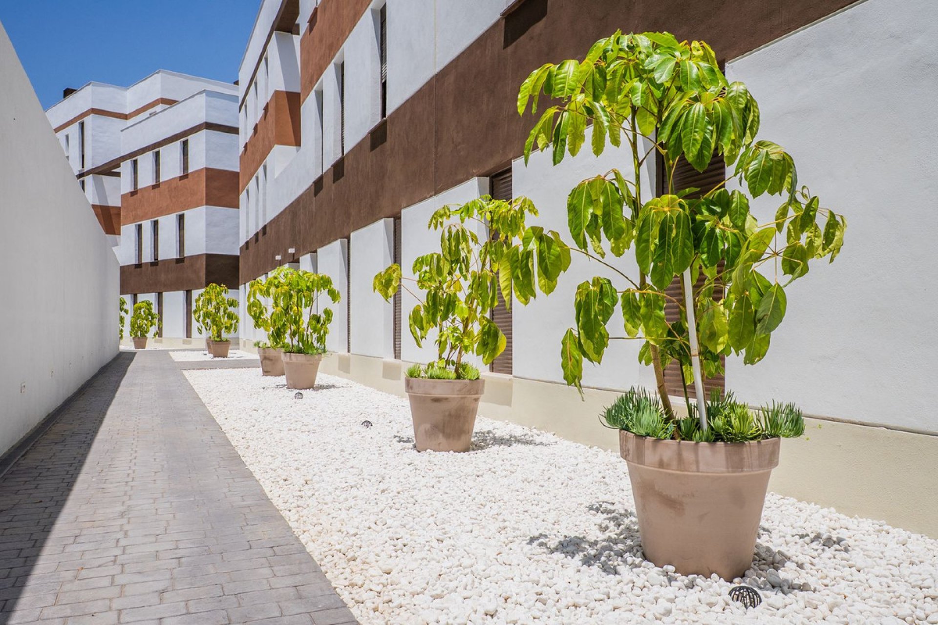 Reventa - Apartment - Middle Floor Apartment - Estepona - Estepona Centro