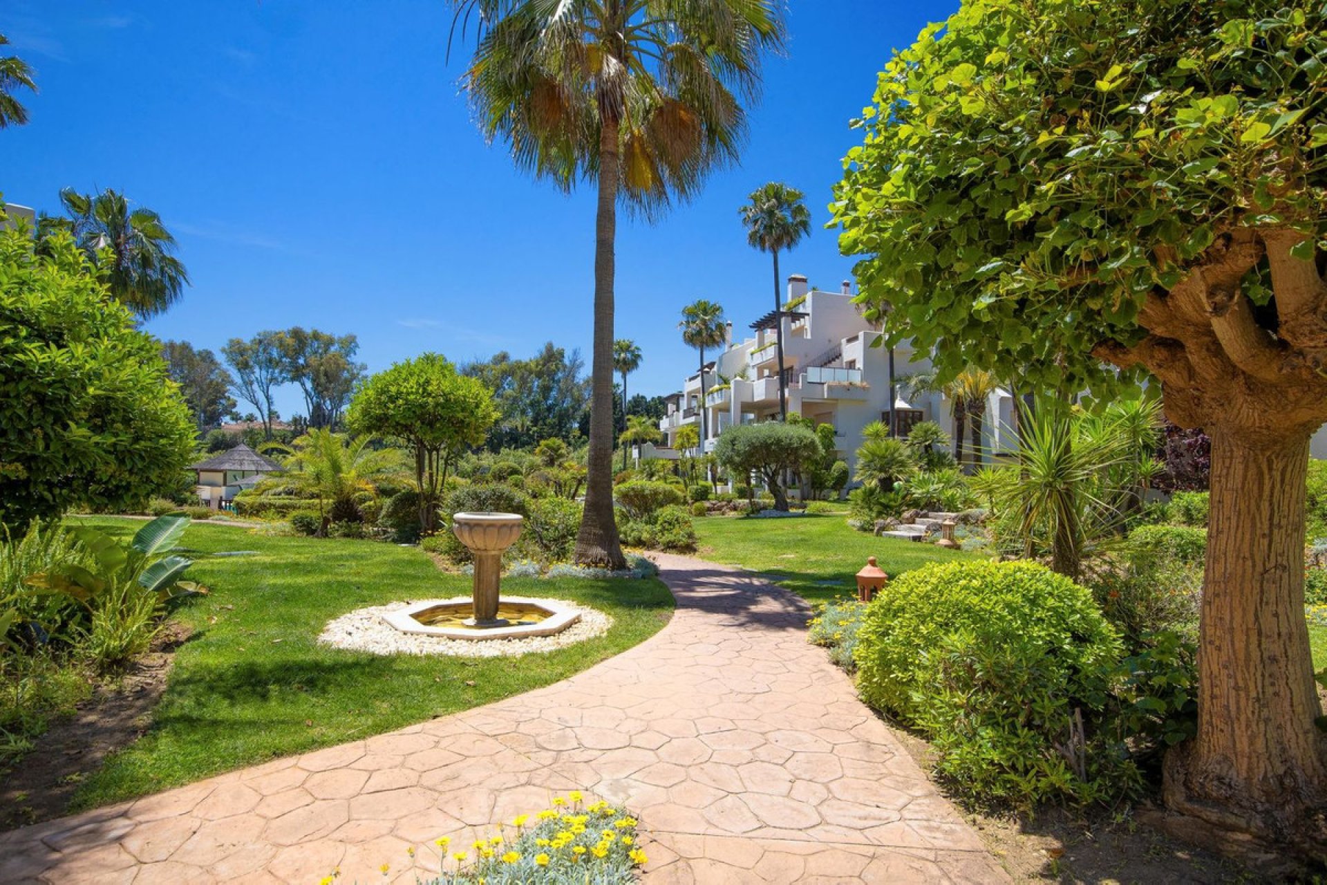 Reventa - Apartment - Penthouse - Estepona - Estepona Centro