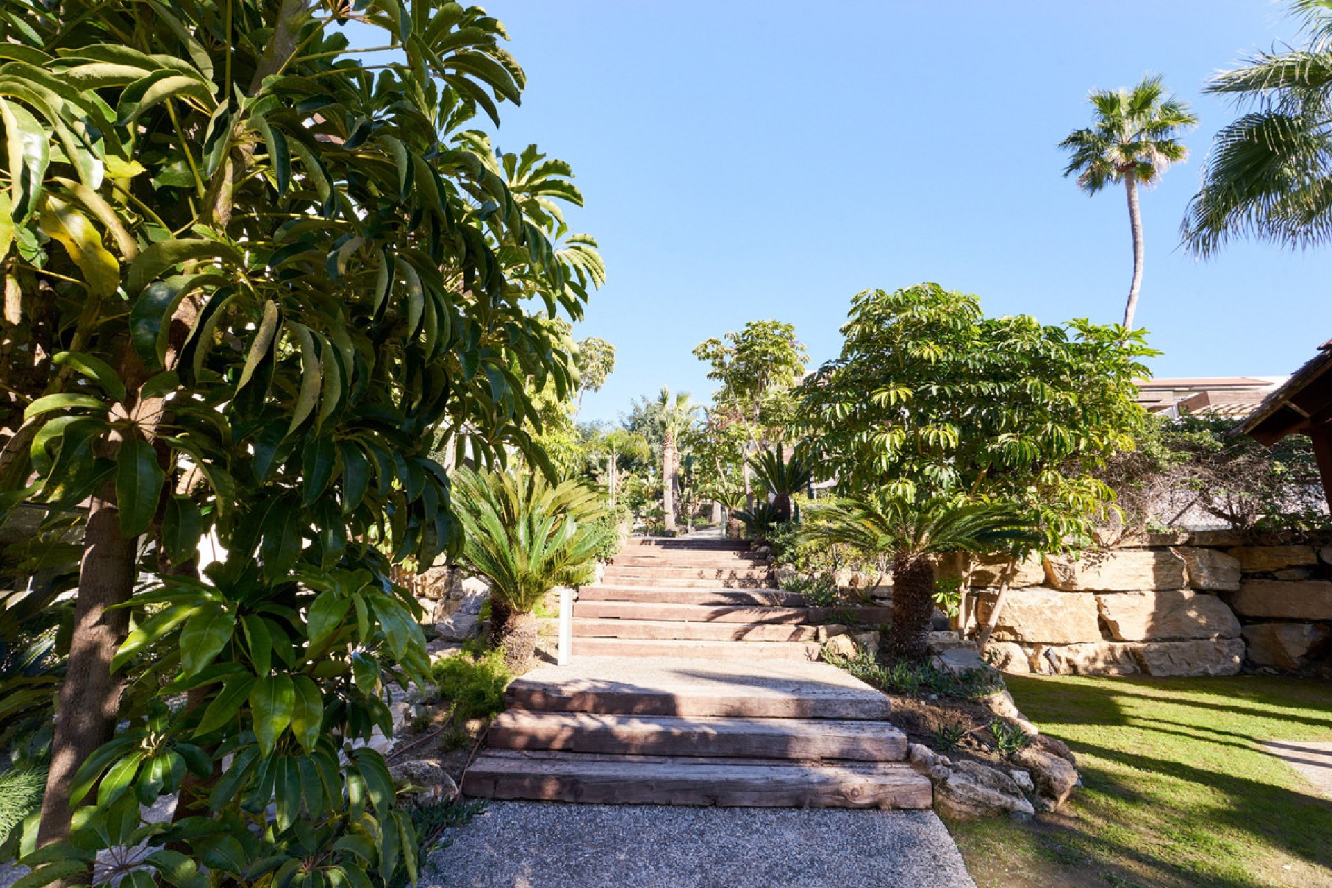 Reventa - Apartment - Penthouse - Estepona - Estepona Centro