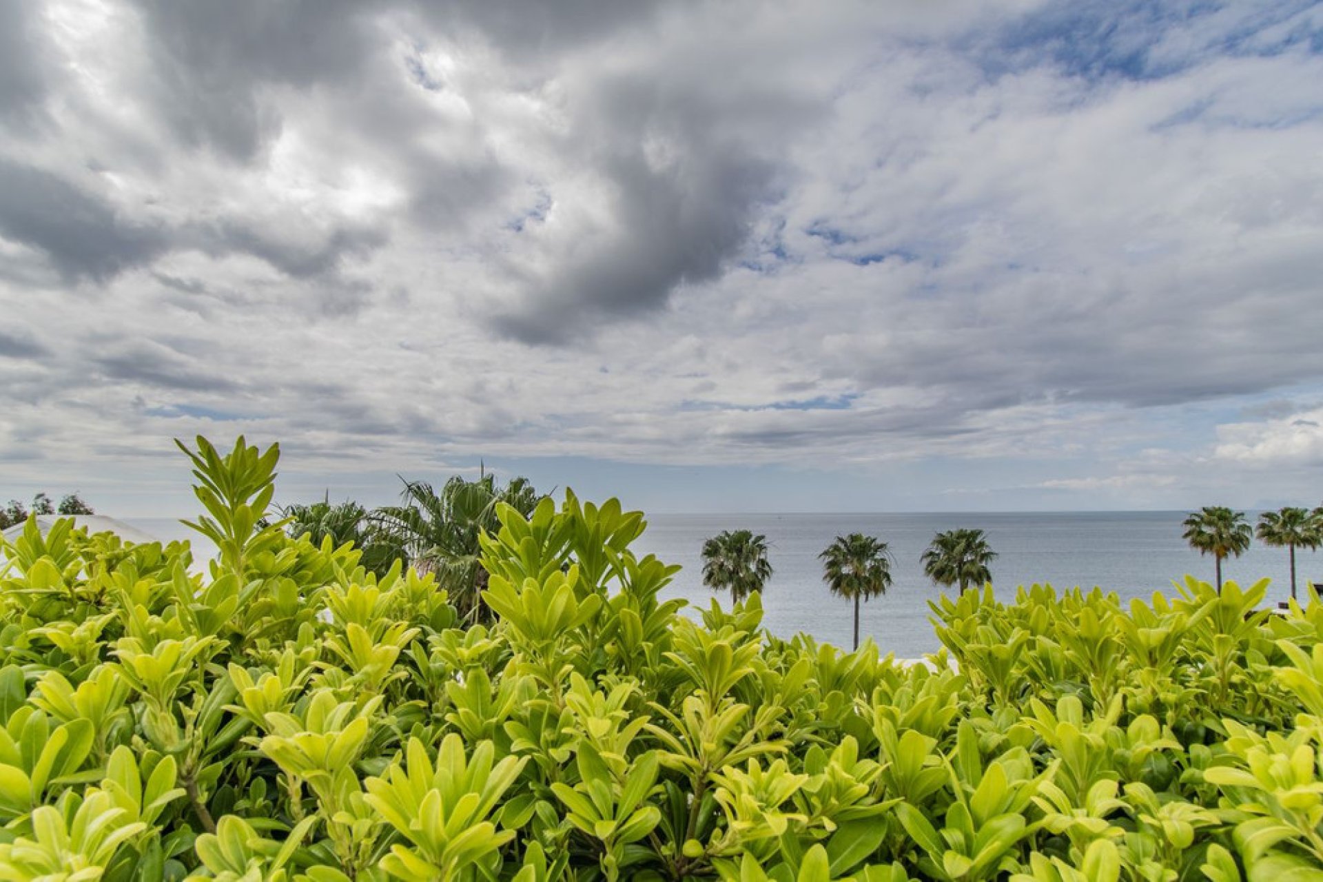 Reventa - Apartment - Penthouse - Estepona - Estepona Centro