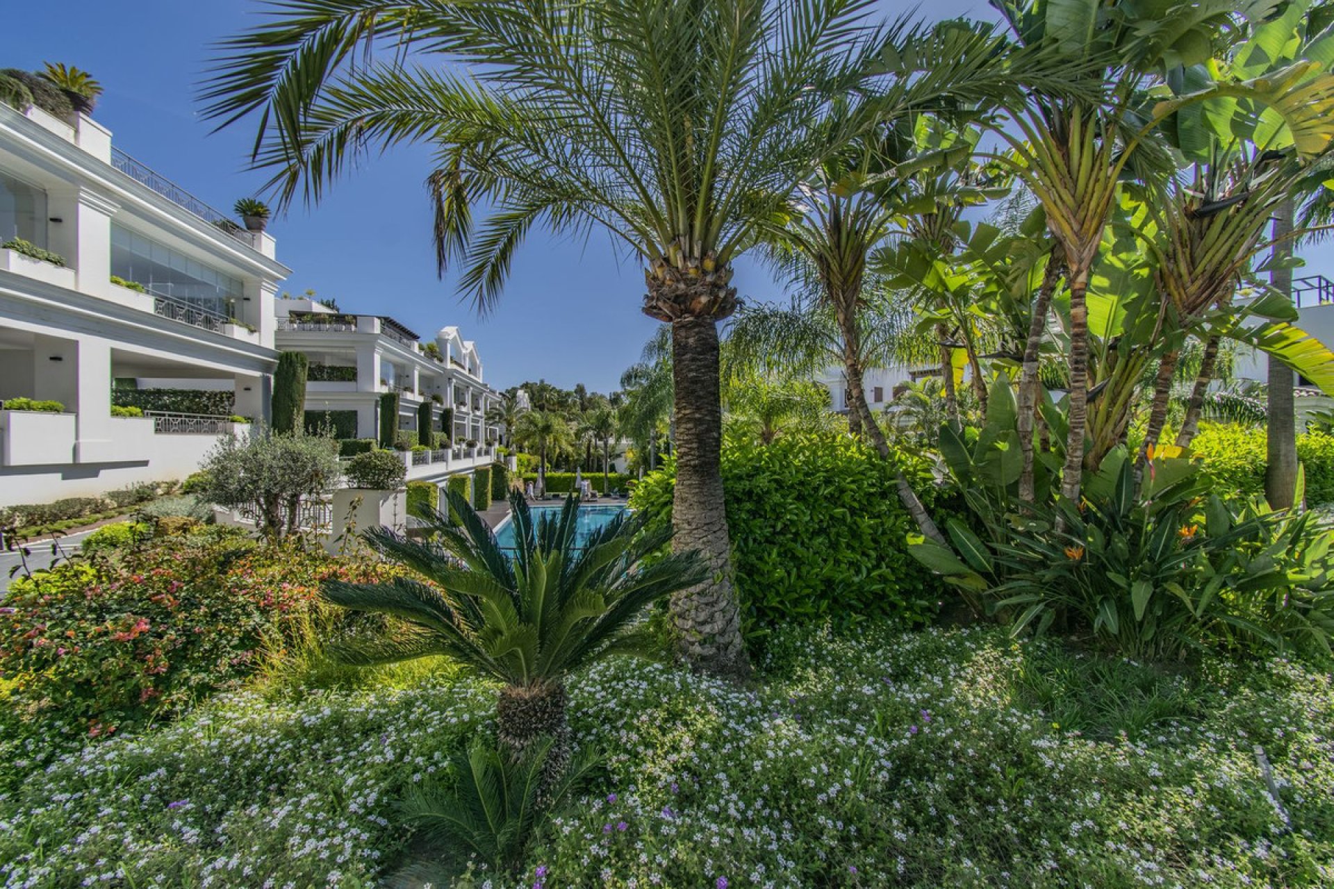 Reventa - Apartment - Penthouse - Estepona - Estepona Centro