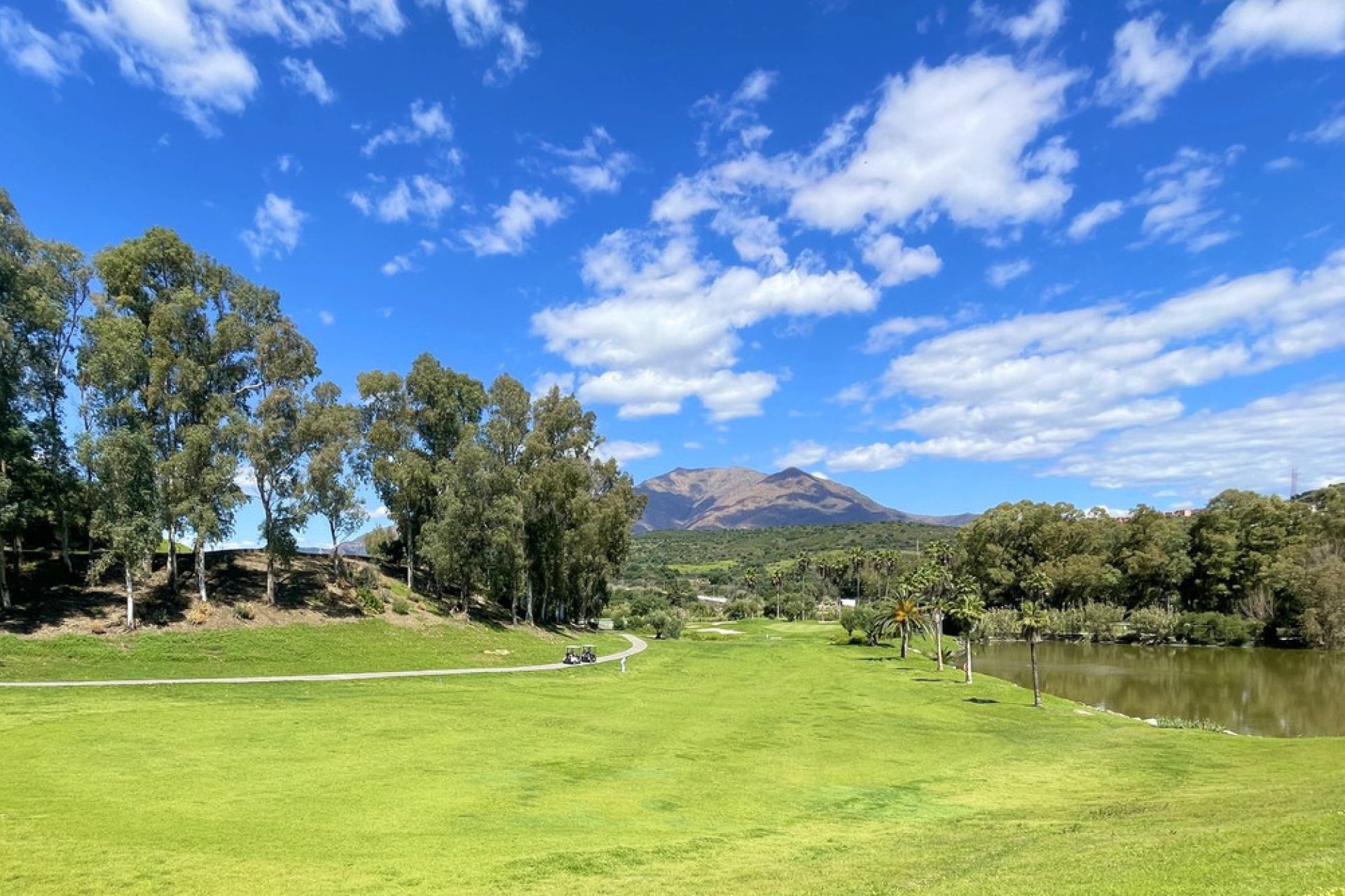 Reventa - Apartment - Penthouse - Estepona - Estepona Centro